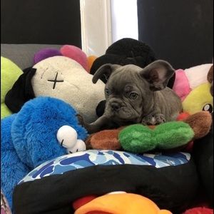 Meet your Posher, Chris